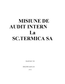 Misiunea de audit intern la SC Termica SA - Pagina 1