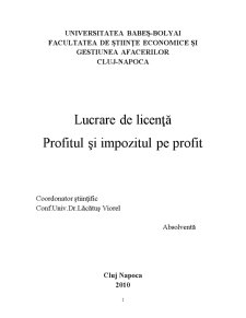Profitul și Impozitul pe Profit - Pagina 1
