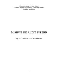 Misiune de audit intern - Edy Internațional Spedition - Pagina 1