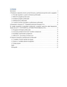 Formare și perfecționare profesională a salariaților în cadrul firmei SC Continental Automotive România SRL - Pagina 1