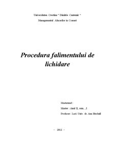 Procedura falimentului de lichidare - Pagina 1