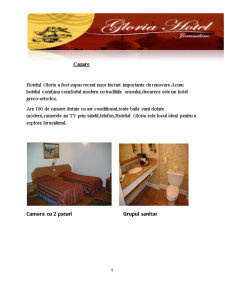 Gestiunea hotelieră și restaurante. Hotelul Gloria - Ierusalim - Pagina 5