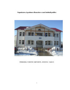 Organizarea și gestiunea financiară a unei instituții publice - Primăria Comunei Zapodeni, Județul Vaslui - Pagina 1