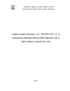 Analiza situației financiare a SC Prodplast SA - Pagina 1