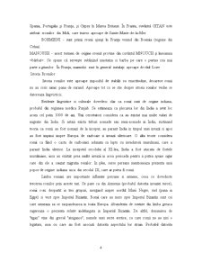 Rromii și Statutul lor în Lume - Pagina 4