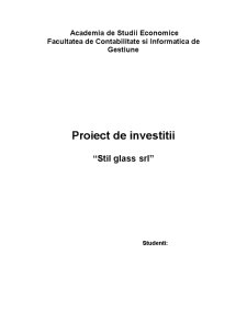 Proiect de investiții - Stil Glass SRL - Pagina 1