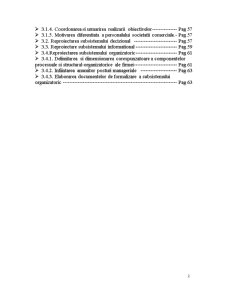 Reproiectarea Sistemului Managerial - SC Chimco SA - Pagina 2