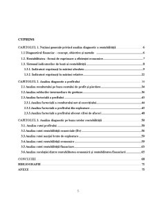 Noțiuni generale privind analiza diagnostic a rentabilității - Pagina 1