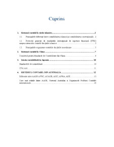 Analiza Sistemelor Contabile - Pagina 1