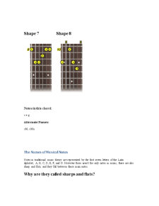 Lecții de chitară - Pagina 5