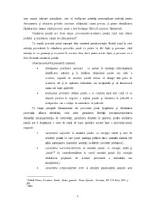 Urmărirea penală - prima fază a procesului penal - Pagina 5
