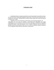 Relația dintre auditul intern și auditul extern - Pagina 1