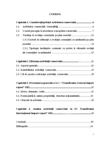 Analiza activității comerciale - SC Transilvania Internațional Import Export SRL - Pagina 1