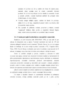 Analiza activității comerciale - SC Transilvania Internațional Import Export SRL - Pagina 5