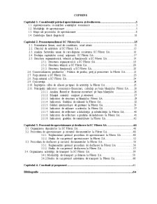 Analiza aprovizionării și desfacerii - SC Fibrex SA - Pagina 1