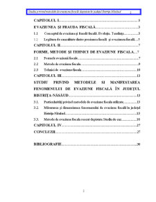 Studiu privind metodele de evaziune fiscală depistate în județul - Pagina 2