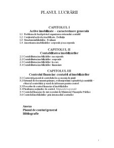 Contabilitatea și Controlul Imobilizărilor - Pagina 2