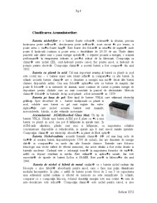 Noi tipuri de baterii electrice pentru dispozitivele electronice de navigație - Pagina 4