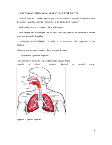 Astmul Bronșic - Implementarea unui Plan de Acțiune pentru Controlul Bolii - Pagina 3