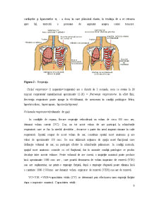 Astmul Bronșic - Implementarea unui Plan de Acțiune pentru Controlul Bolii - Pagina 5
