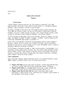 Analiza pieței scutecelor Pampers - Pagina 1