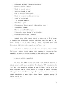 Plan de Afaceri - SC Hidroconstructia SA - Pagina 3