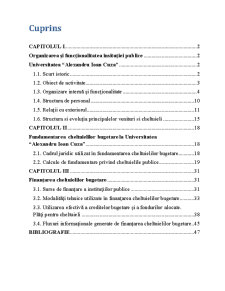 Organizarea și funcționalitatea insitutiei publice - Universitatea Alexandru Ioan Cuza - Pagina 1