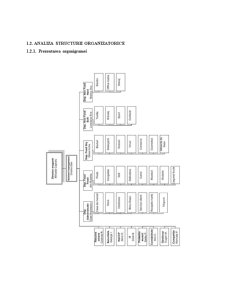 Analiza și Proiectarea Sistemului Informatic Privind Evidența Furnizoriilor - Pagina 5