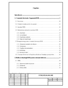 Comerț electronic B2B - sistem de asistență - Pagina 1