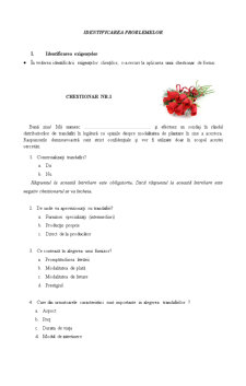 Seră de trandafiri - managementul calității - Pagina 2