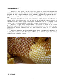 Mierea de Albine - Pagina 1