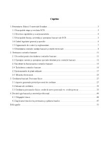 Studiu monografic BCR - sucursala județeană Iași - Pagina 2