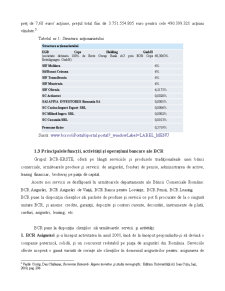Studiu monografic BCR - sucursala județeană Iași - Pagina 5