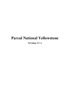 Parcul Național Yellowstone - Pagina 1