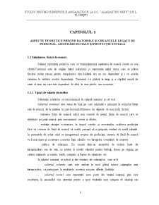 Studiu privind beneficiile angajaților la SC Alabastru Serv SRL Ploiești - Pagina 5