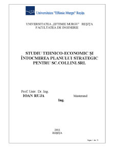 Studiu Tehnico-economic și Întocmirea Planului Strategic pentru SC Collini SRL - Pagina 2