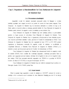 Organizarea gestiunii financiare la CJAS Iași - Pagina 1