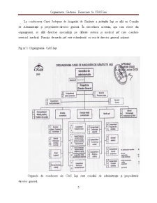 Organizarea gestiunii financiare la CJAS Iași - Pagina 5