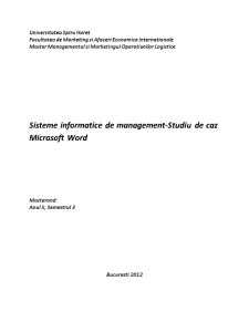 Sisteme Informatice de Management - Pagina 1