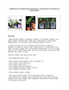 Posibilități de înmulțire vegetativă a plantelor de grădină și apartament - Pagina 2
