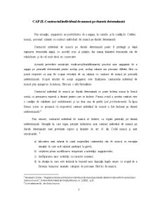 Contractul de Munca de Tip Particular - Pagina 3