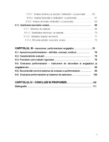 Evaluarea performanțelor profesionale ale angajaților în cadrul SNP Petrom Galați - Pagina 3