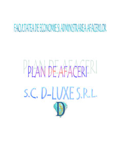 Plan de Afaceri SC D-Luxe SRL - Pagina 1