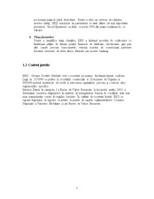 Practică BRD-GSG - agenția Târgu-Neamț - Pagina 5