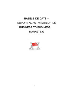 Bazele de date - suport al activităților de business to business - Pagina 1