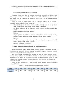 Analiza și Previziunea Resurselor de Muncă la SC Timken România SA - Pagina 1