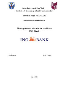 Managementul Riscului de Creditare la ING Bank - Pagina 1