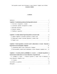 Rolul impozitelor și taxelor locale în alimentarea cu resurse financiare la Primăria Municipiului Drăgășani - Pagina 1