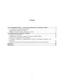 Aplicabilitatea Metodei RCB în Structurarea și Dimensionarea Cheltuielilor Publice - Pagina 2