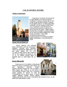Sibiu - Pagina 4